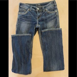 Silver “Suki”27 x 33